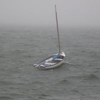 William Schwartz Photo 30