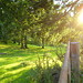 Deborah Meadows Photo 20