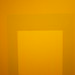 Joseph Albers Photo 17