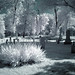 Daniel Holcomb Photo 14