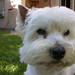 Jerry Call Photo 9