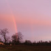 Linda Clanton Photo 10