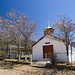 Kelly Church Photo 30