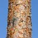April Stump Photo 11