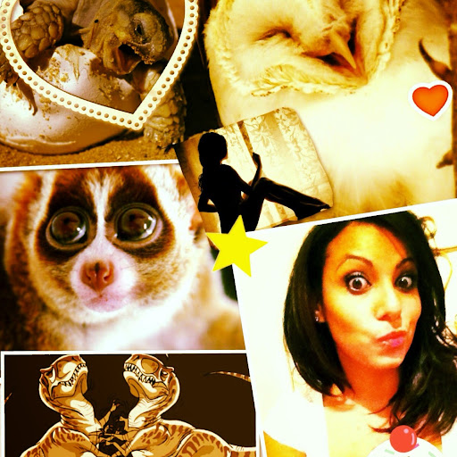 Michelle Noland Photo 3
