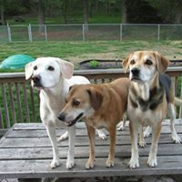 Sandy Dotson Photo 6