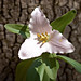 Brett Robins Photo 15