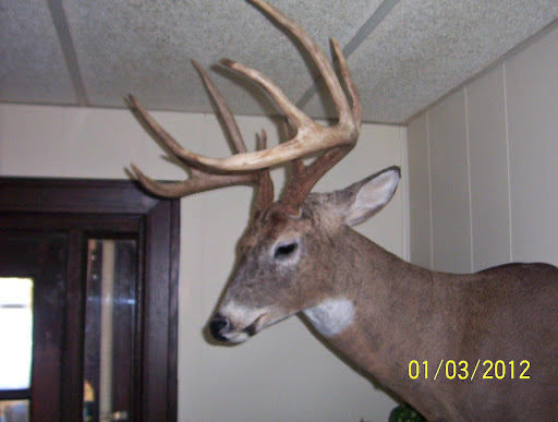 Kenneth Potter Photo 31