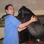 Karl Brandt Photo 15