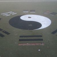 Ying Yang Photo 18