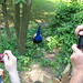 Sarah Peacock Photo 24