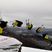 Robert Burge Photo 23