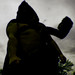 Karl Edwards Photo 8