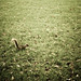 Tracey Woods Photo 8