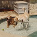 Judy Murphy Photo 11