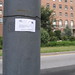 Lin Robinson Photo 21