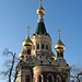Nicholas Wiens Photo 8