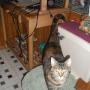 Kari Cook Photo 16