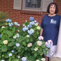 Wendy Morris Photo 11