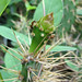 Lynn Sharp Photo 20