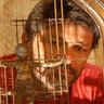 Raimundo Rodriguez Photo 10