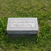 Ann Krause Photo 24