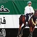Mohammed Rashid Photo 17