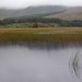 Misty Reed Photo 9