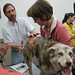 Sandy Merritt Photo 18