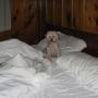 Carol Castellano Photo 22