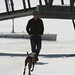 Arthur Shield Photo 9