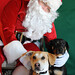 Rhonda Williams Photo 8