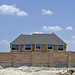 Terry Walls Photo 23
