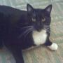 Debra Clawson Photo 9