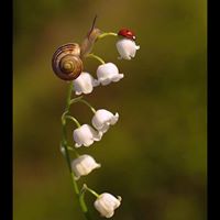 Anne Carlson Photo 33