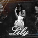 Lily Fan Photo 15