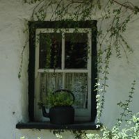 Carolyn Callahan Photo 27