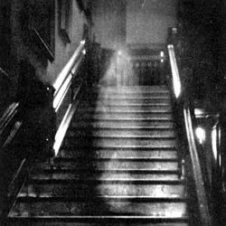 Michael Beauchamp Photo 18