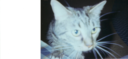 Kelly Buck Photo 9