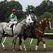 Joe Haskell Photo 3