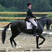 Nick Jacobs Photo 29