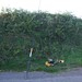 Brandy Hill Photo 21