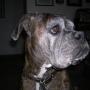 Terri Nelson Photo 10