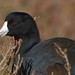 Barbara Coots Photo 7