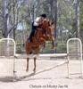 Christine Johnson Photo 19