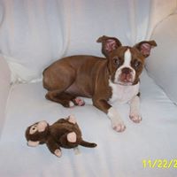 Maxine Stanfield Photo 3
