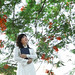 Linh Ha Photo 29