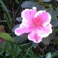 Barbara Teeples Photo 3