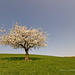Neil Weiss Photo 8