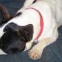 Judy Hunt Photo 19
